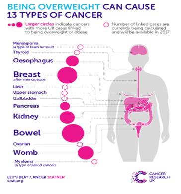 YCN Blog – The importance of maintaining a healthy weight in cancer prevention